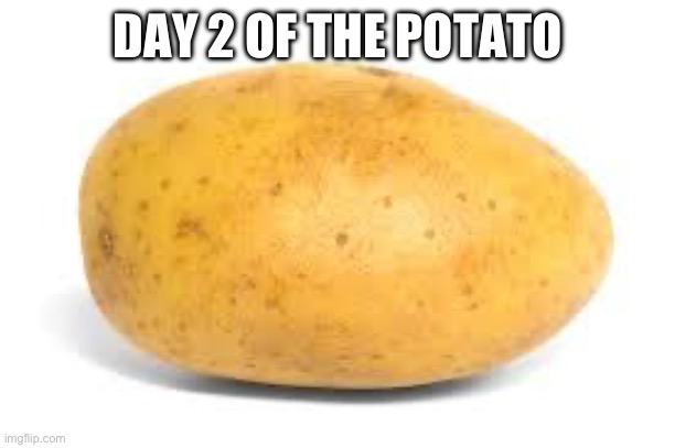 Potato | DAY 2 OF THE POTATO | image tagged in potato | made w/ Imgflip meme maker