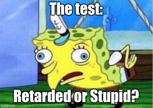 Mocking Spongebob Meme | The test: Retarded or Stupid? | image tagged in memes,mocking spongebob | made w/ Imgflip meme maker