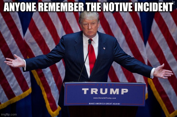 Donald Trump | ANYONE REMEMBER THE NOTIVE INCIDENT | image tagged in donald trump | made w/ Imgflip meme maker