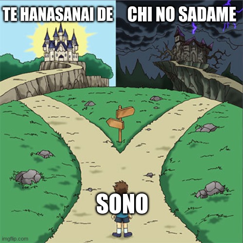 Junjou Romantica or JoJo's Bizarre Adventure | CHI NO SADAME; TE HANASANAI DE; SONO | image tagged in two paths,jojo's bizarre adventure,junjou romantica,anime,jjba,gay | made w/ Imgflip meme maker