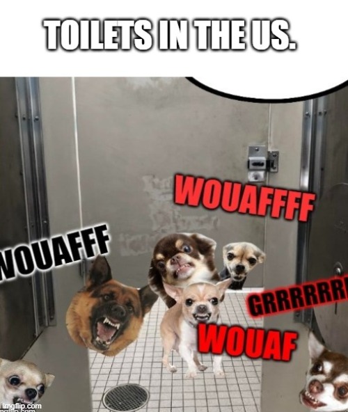 USA | image tagged in usa,toilet humor,dogs,dog memes,funny | made w/ Imgflip meme maker