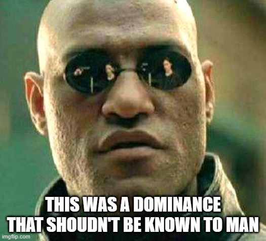 dominance | THIS WAS A DOMINANCE THAT SHOUDN'T BE KNOWN TO MAN | image tagged in what if i told you,domination | made w/ Imgflip meme maker