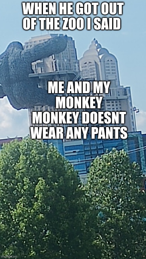 me and my monkey | ME AND MY MONKEY MONKEY DOESNT WEAR ANY PANTS; WHEN HE GOT OUT OF THE ZOO I SAID | image tagged in flying monkeys | made w/ Imgflip meme maker