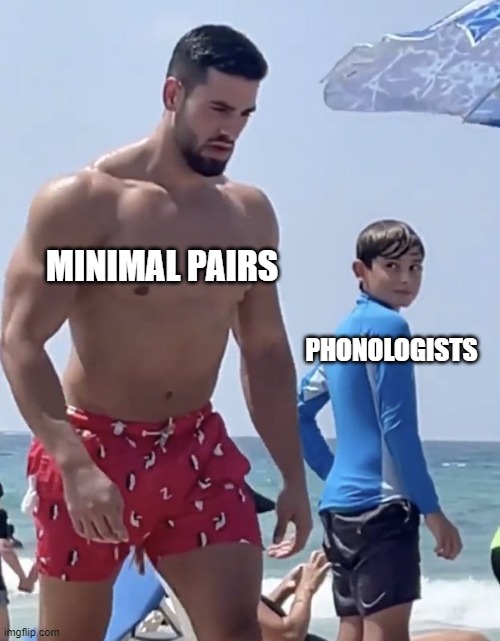 phonologists love minimal pairs | MINIMAL PAIRS; PHONOLOGISTS | image tagged in the moment he knew | made w/ Imgflip meme maker