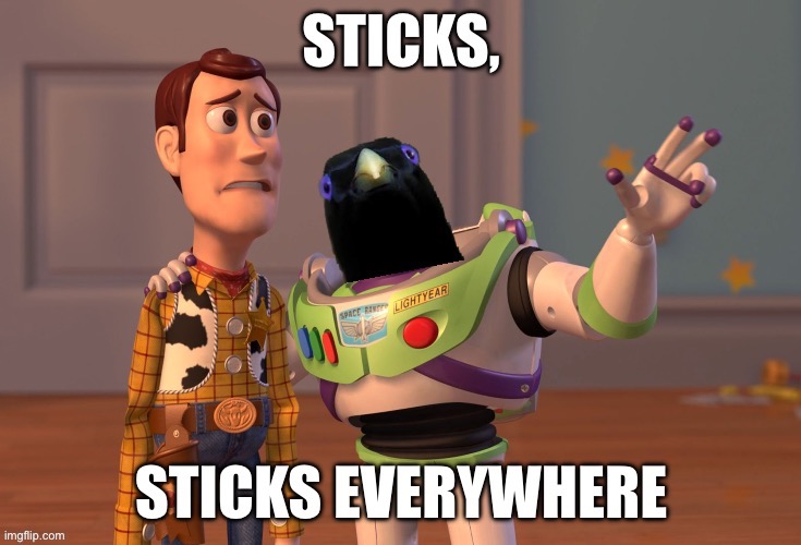 Sticks everywhere | image tagged in repost,becky,lemme smash | made w/ Imgflip meme maker