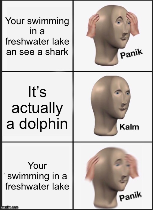 Panik Kalm Panik | Your swimming in a freshwater lake an see a shark; It’s actually a dolphin; Your swimming in a freshwater lake | image tagged in memes,panik kalm panik | made w/ Imgflip meme maker