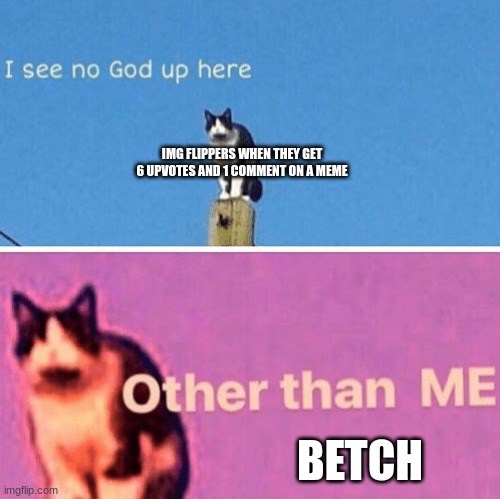 Hail pole cat | IMG FLIPPERS WHEN THEY GET 6 UPVOTES AND 1 COMMENT ON A MEME; BETCH | image tagged in hail pole cat | made w/ Imgflip meme maker