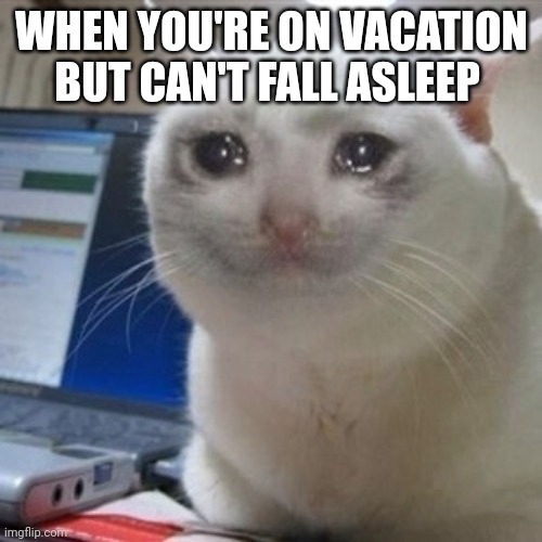 Crying cat | WHEN YOU'RE ON VACATION BUT CAN'T FALL ASLEEP | image tagged in crying cat | made w/ Imgflip meme maker