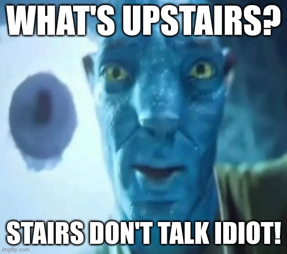 best template | WHAT'S UPSTAIRS? STAIRS DON'T TALK IDIOT! | image tagged in avatar guy,memes,funny | made w/ Imgflip meme maker