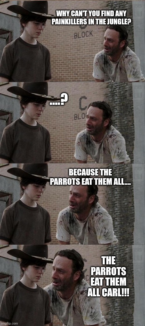 Rick and Carl Long | WHY CAN'T YOU FIND ANY PAINKILLERS IN THE JUNGLE? ....? BECAUSE THE PARROTS EAT THEM ALL.... THE PARROTS EAT THEM ALL CARL!!! | image tagged in memes,rick and carl long | made w/ Imgflip meme maker