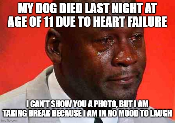 more in *sniff* comments | MY DOG DIED LAST NIGHT AT AGE OF 11 DUE TO HEART FAILURE; I CAN'T SHOW YOU A PHOTO, BUT I AM TAKING BREAK BECAUSE I AM IN NO MOOD TO LAUGH | image tagged in crying michael jordan,dog died | made w/ Imgflip meme maker