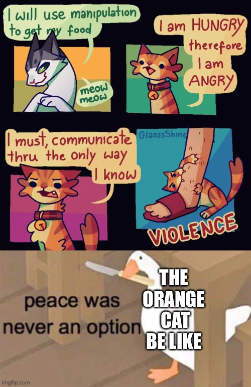 THE ORANGE  CAT BE LIKE | image tagged in untitled goose peace was never an option,cats,violence | made w/ Imgflip meme maker