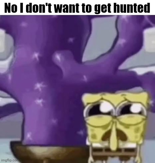 Zad Spunchbop | No I don't want to get hunted | image tagged in zad spunchbop | made w/ Imgflip meme maker