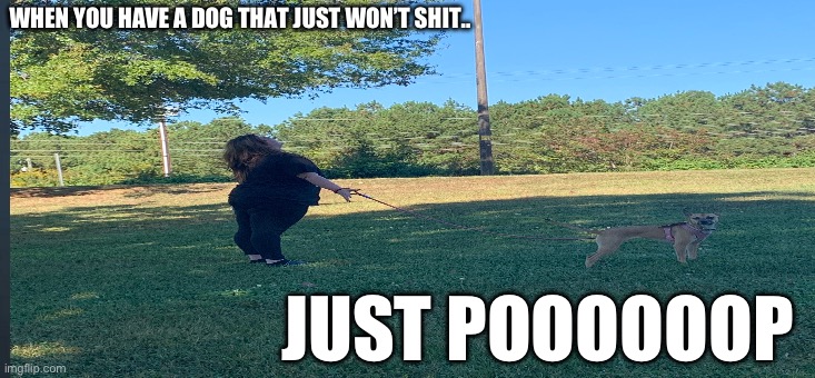 WHEN YOU HAVE A DOG THAT JUST WON’T SHIT.. JUST POOOOOOP | made w/ Imgflip meme maker