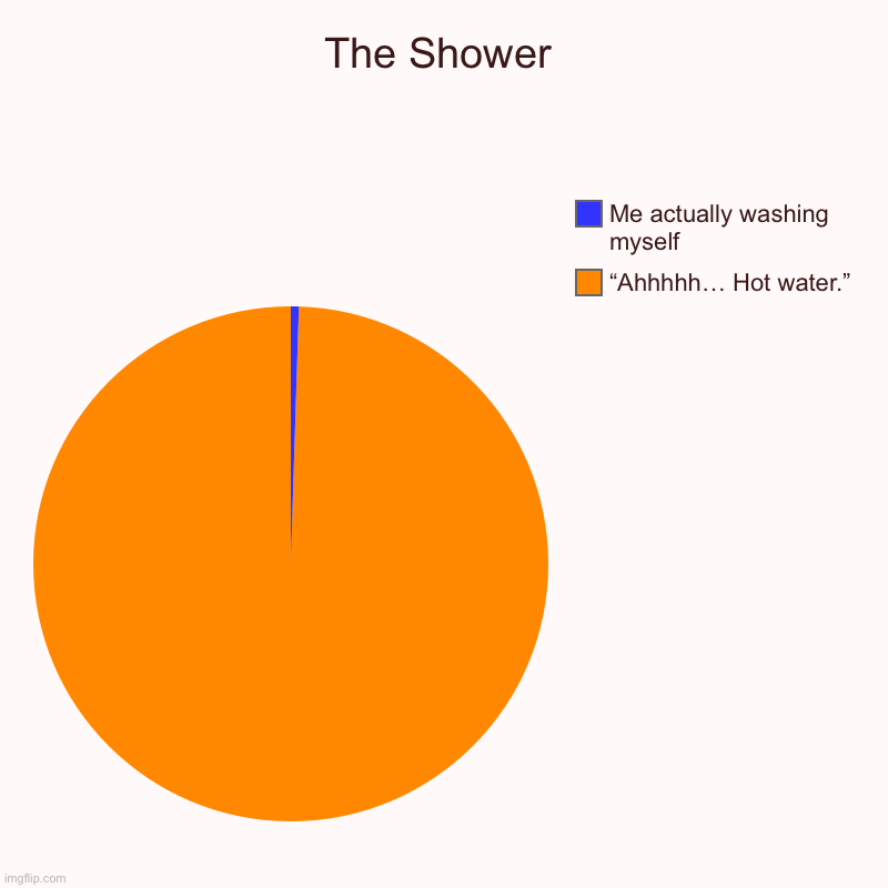 The Shower | “Ahhhhh… Hot water.”, Me actually washing myself | image tagged in charts,pie charts | made w/ Imgflip chart maker