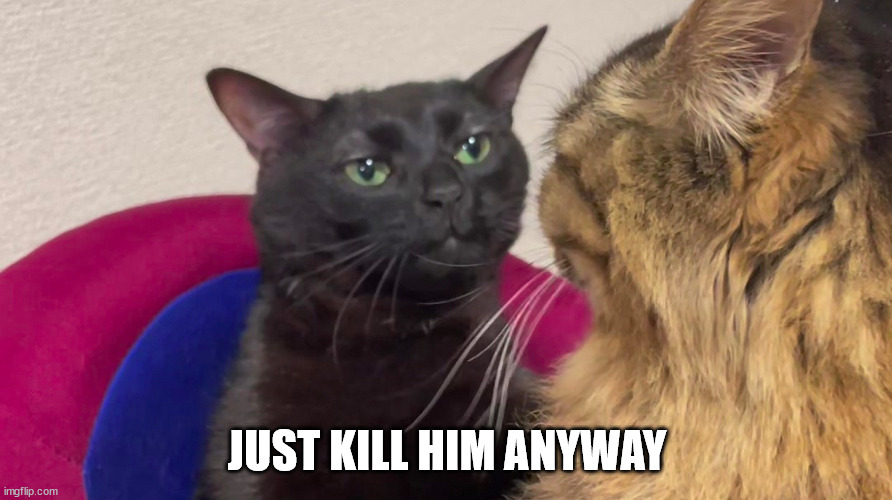 Cats staring | JUST KILL HIM ANYWAY | image tagged in cats staring | made w/ Imgflip meme maker