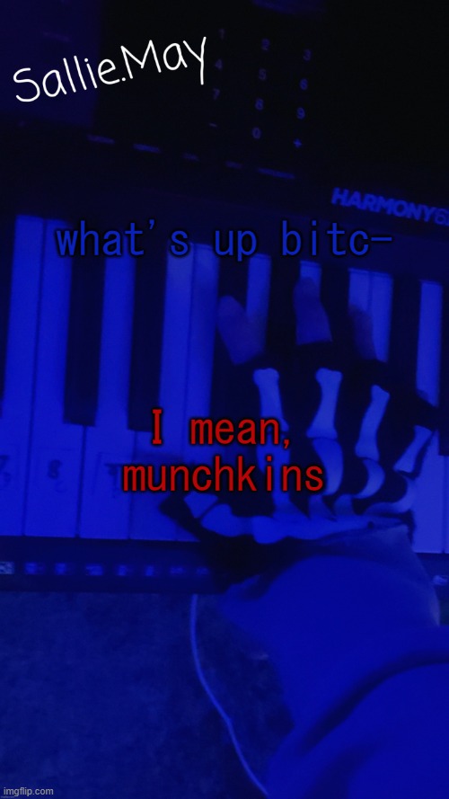 what's up bitc-; I mean, munchkins | image tagged in sallie's temp by hannibal | made w/ Imgflip meme maker