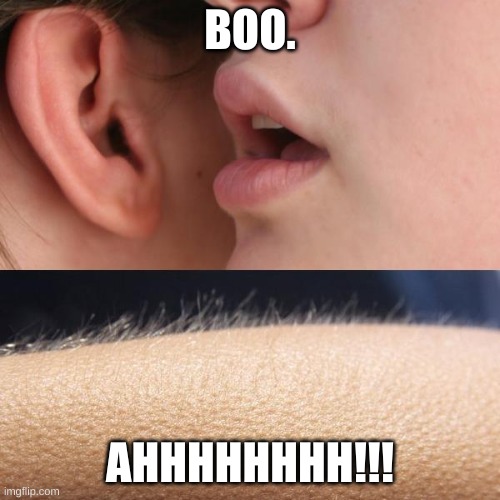 Whisper and Goosebumps | BOO. AHHHHHHHH!!! | image tagged in whisper and goosebumps | made w/ Imgflip meme maker