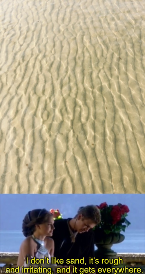 I don’t like sand, it’s rough and irritating, and it gets everywhere. | image tagged in i don't like sand | made w/ Imgflip meme maker
