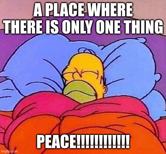 No More Violence | A PLACE WHERE THERE IS ONLY ONE THING; PEACE!!!!!!!!!!!! | image tagged in homer simpson sleeping peacefully,team peace | made w/ Imgflip meme maker