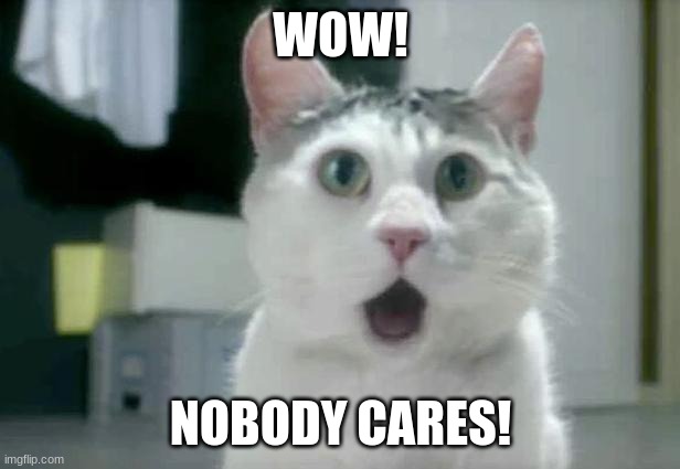 OMG Cat Meme | WOW! NOBODY CARES! | image tagged in memes,omg cat | made w/ Imgflip meme maker