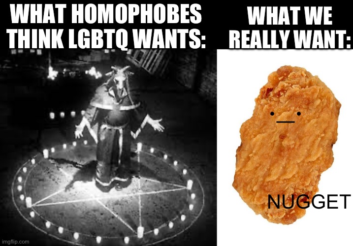 I WANT NUGGET :D | WHAT HOMOPHOBES THINK LGBTQ WANTS:; WHAT WE REALLY WANT:; ._. NUGGET | made w/ Imgflip meme maker