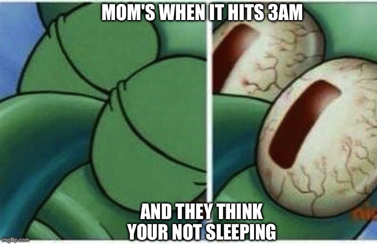Squidward | MOM'S WHEN IT HITS 3AM AND THEY THINK YOUR NOT SLEEPING | image tagged in squidward | made w/ Imgflip meme maker