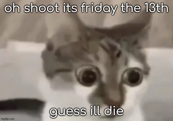 /j | oh shoot its friday the 13th; guess ill die | image tagged in bombastic side eye cat | made w/ Imgflip meme maker