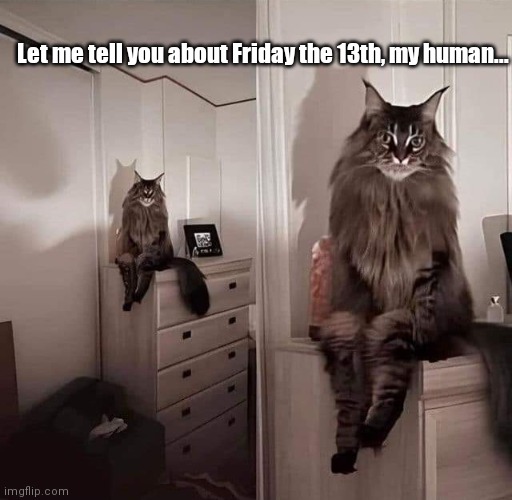 Friday the 13th | Let me tell you about Friday the 13th, my human... | image tagged in funny | made w/ Imgflip meme maker