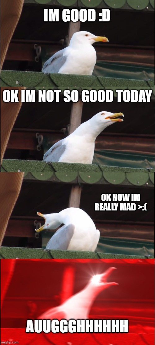 Troy This Is You ._. | IM GOOD :D; OK IM NOT SO GOOD TODAY; OK NOW IM REALLY MAD >:(; AUUGGGHHHHHH | image tagged in memes,inhaling seagull | made w/ Imgflip meme maker