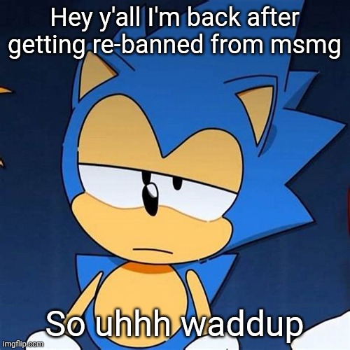 bruh | Hey y'all I'm back after getting re-banned from msmg; So uhhh waddup | image tagged in bruh | made w/ Imgflip meme maker