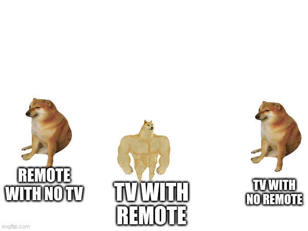 REMOTE WITH NO TV; TV WITH REMOTE; TV WITH NO REMOTE | image tagged in cheems,tv | made w/ Imgflip meme maker