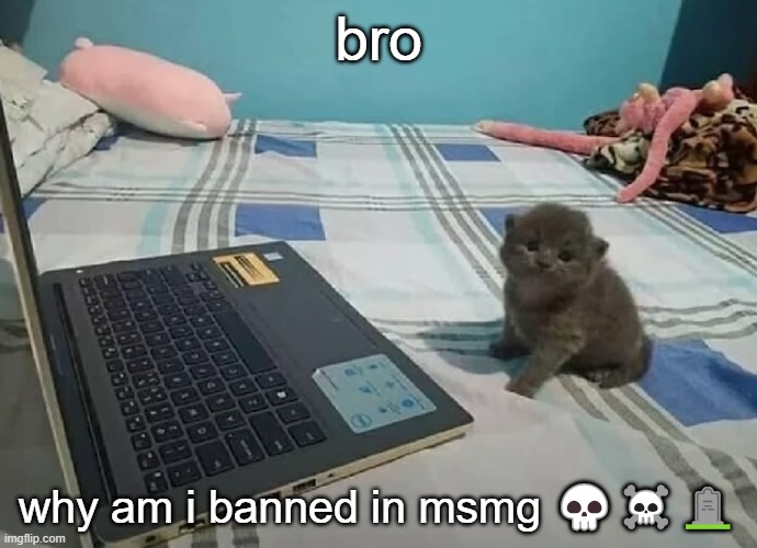 i don't even have enough points to post there ☠️☠️ | bro; why am i banned in msmg 💀☠️🪦 | image tagged in face reveal | made w/ Imgflip meme maker