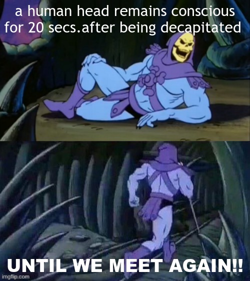 disturbing but true | a human head remains conscious for 20 secs.after being decapitated; UNTIL WE MEET AGAIN!! | image tagged in skeletor disturbing facts,death | made w/ Imgflip meme maker