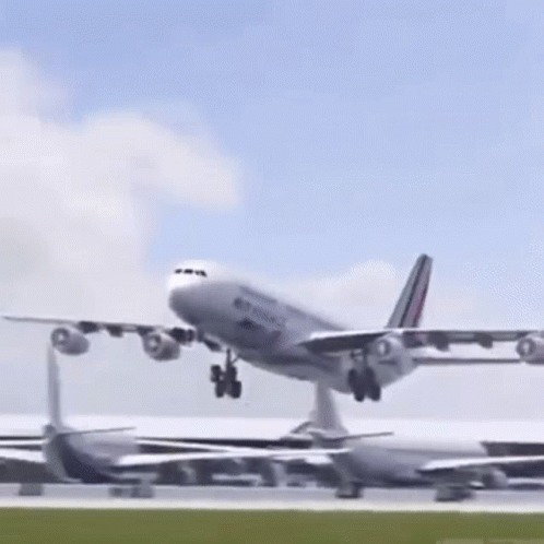 Airplane Dancing GIF Blank Meme Template