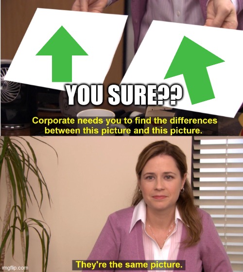 you sure??? | YOU SURE?? | image tagged in memes,they're the same picture | made w/ Imgflip meme maker