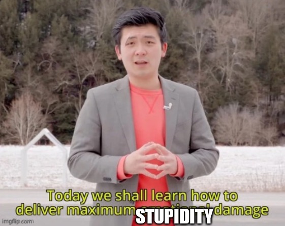 maximum emotional damage | STUPIDITY | image tagged in maximum emotional damage | made w/ Imgflip meme maker