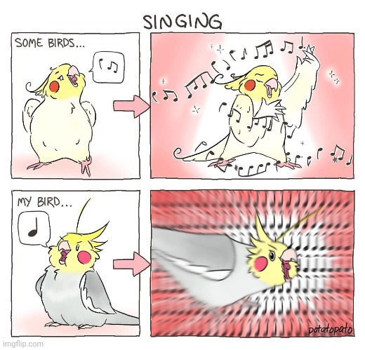 Singing | image tagged in singing,sing,birds,bird,comics,comics/cartoons | made w/ Imgflip meme maker