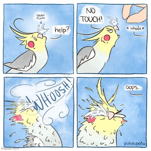 Whoosh | image tagged in touch,whoosh,birds,bird,comics,comics/cartoons | made w/ Imgflip meme maker