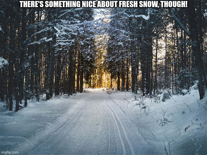 THERE'S SOMETHING NICE ABOUT FRESH SNOW, THOUGH! | made w/ Imgflip meme maker