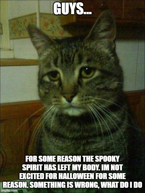 help | GUYS... FOR SOME REASON THE SPOOKY SPIRIT HAS LEFT MY BODY. IM NOT EXCITED FOR HALLOWEEN FOR SOME REASON. SOMETHING IS WRONG, WHAT DO I DO? | image tagged in memes,depressed cat | made w/ Imgflip meme maker