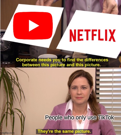 They're The Same Picture Meme | People who only use TikTok | image tagged in memes,they're the same picture | made w/ Imgflip meme maker