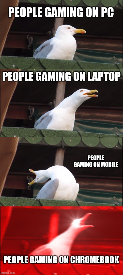 Inhaling Seagull | PEOPLE GAMING ON PC; PEOPLE GAMING ON LAPTOP; PEOPLE GAMING ON MOBILE; PEOPLE GAMING ON CHROMEBOOK | image tagged in memes,inhaling seagull | made w/ Imgflip meme maker