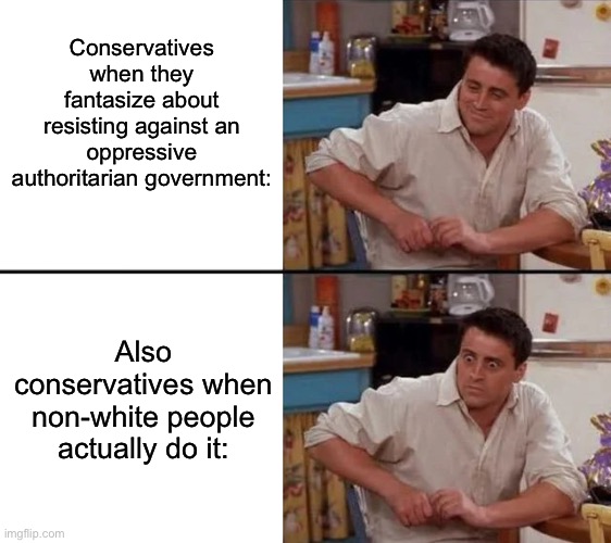 The same people who want to start a second civil war somehow can’t empathize with those who face actual oppression. | Conservatives when they fantasize about resisting against an oppressive authoritarian government:; Also conservatives when non-white people actually do it: | image tagged in surprised joey,palestine,israel,black lives matter,acab,police | made w/ Imgflip meme maker