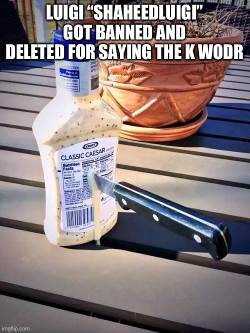 idek anymore | LUIGI “SHAHEEDLUIGI” GOT BANNED AND DELETED FOR SAYING THE K WODR | image tagged in idek anymore | made w/ Imgflip meme maker