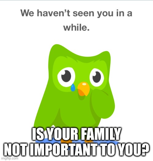 Sad Duolingo Bird | IS YOUR FAMILY NOT IMPORTANT TO YOU? | image tagged in sad duolingo bird | made w/ Imgflip meme maker
