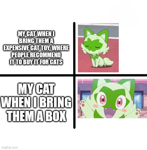 Just bring box for your cat. What can be possibility wrong? | MY CAT WHEN I BRING THEM A EXPENSIVE CAT TOY, WHERE PEOPLE RECOMMEND IT TO BUY IT FOR CATS; MY CAT WHEN I BRING THEM A BOX | image tagged in memes,blank starter pack,cat,toy | made w/ Imgflip meme maker