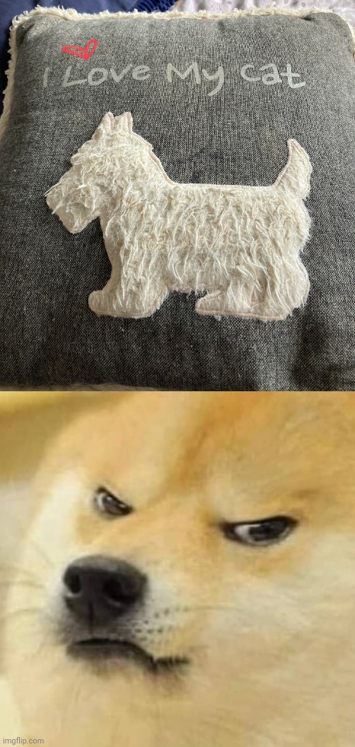 "cat" | image tagged in angry doge,cat,dog,you had one job,memes,pillow | made w/ Imgflip meme maker