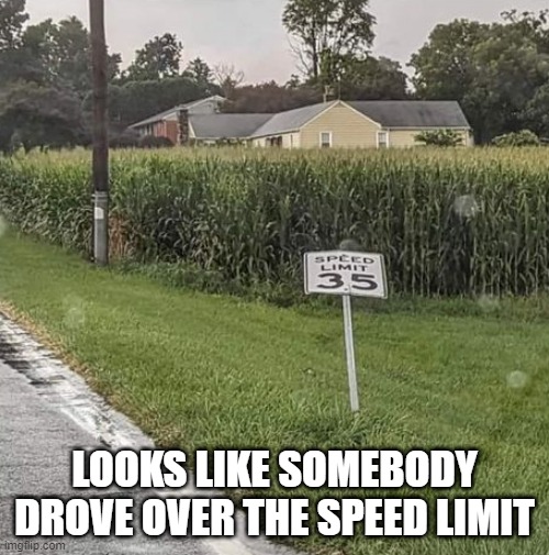 Speeding | LOOKS LIKE SOMEBODY DROVE OVER THE SPEED LIMIT | image tagged in you had one job,punny | made w/ Imgflip meme maker