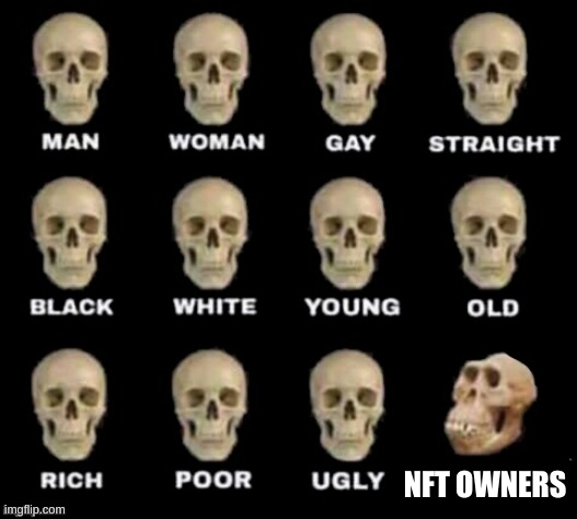 i hate NFTs | NFT OWNERS | image tagged in idiot skull,memes,nft | made w/ Imgflip meme maker